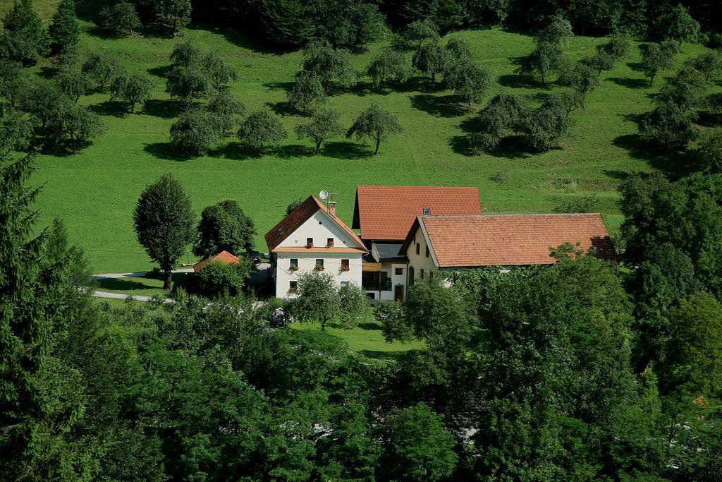 Вилла Tourist Farm Zelinc Церкно Экстерьер фото