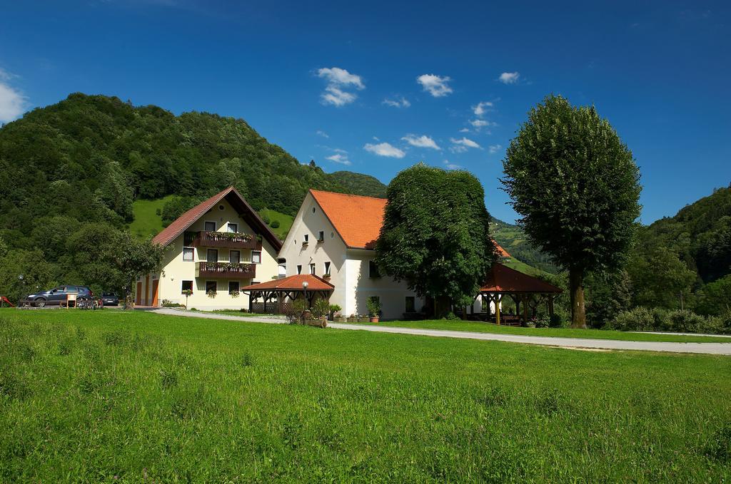 Вилла Tourist Farm Zelinc Церкно Экстерьер фото