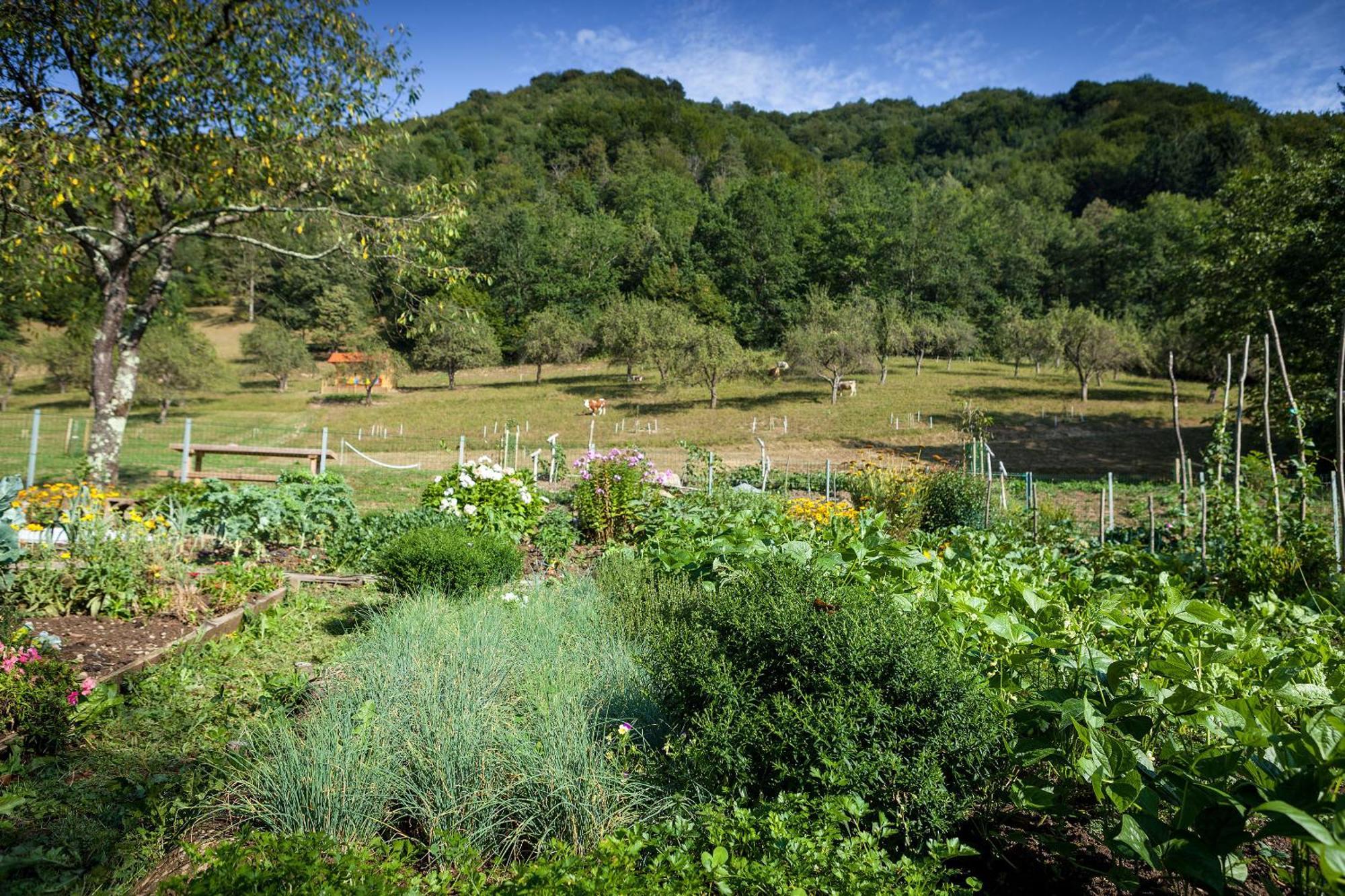 Вилла Tourist Farm Zelinc Церкно Экстерьер фото